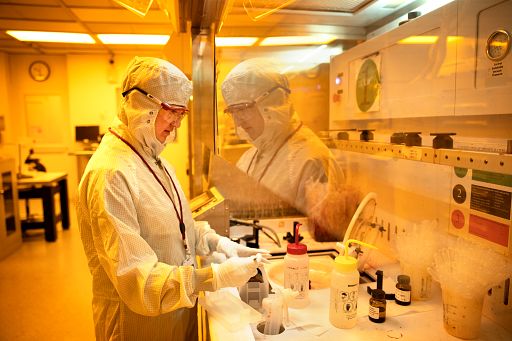 Graduate student working in an ecological research lab